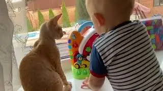 baby and catare besti friends