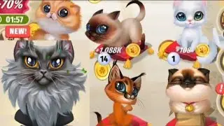 Catopedia Merge my Cat LEVEL14 #mobilegameplay 