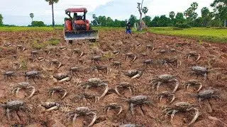 Unique! Today farmer prepare land for farming a fisherman searching catch a lot