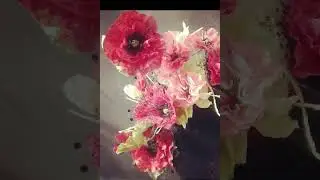 tm24 video 2