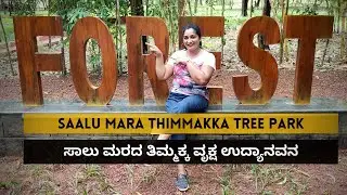 Salu Marada Thimmakka Tree Park - ಸಾಲು ಮರದ ತಿಮ್ಮಕ್ಕ ವೃಕ್ಷ ಉದ್ಯಾನವನ