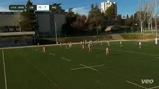 U16 vs Arquitectura