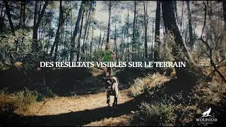 Wolfood - Marque fran&ccedil;aise d'alimentation haut de gamme pour chien et chat