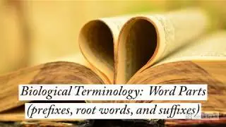 Biological Terminology:  Latin & Greek Word Parts