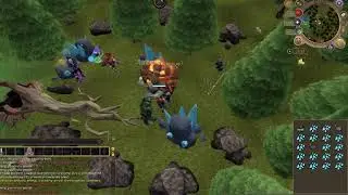 the  recorded version of showing off my skill pet  and making elder rune armor