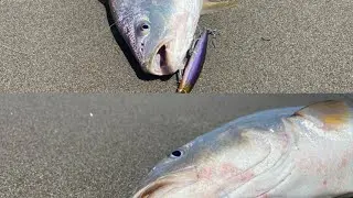 Nueva salida de pesca y con sorpresas 😱😱😱😱😱🤪🤪🤪🤪