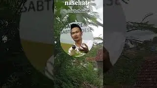 Allah bangga dengan kita#nasehatulama#shortvideos