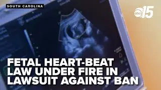 State Supreme Court set to hear arguments in case against state's abortion ban