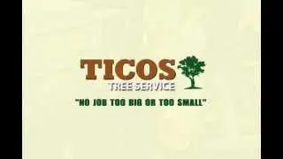 New Jersey Tree Service