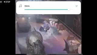 The first self righting mechanism in robot wars