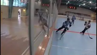 ROSE BOWL HOCKEY vs PEORIA PANTHERS GAME 1