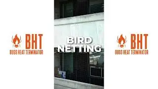 🦅 Worried about pesky birds damaging your property? 🚫🐦