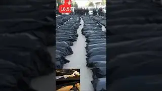 Iran Burning | 18,500 Dead? 300000 arrested | Iran Crisis Jan 2026