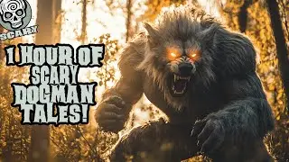 1 Hour of Scary Real Werewolf Stories: Best Dogman Tales