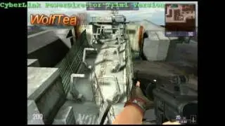 WolfTeam Glitch 2010