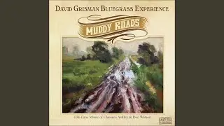 Muddy Roads