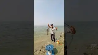 Unbelievable Fishing Technique Part 52 #fishingshorts #viralvideo #fishinglife