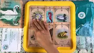 AKU288 - Day 285 / 365 Day #kickstarter Animal Spirit Oracle Deck 🦢 #unboxing #flipthru #walkthrough