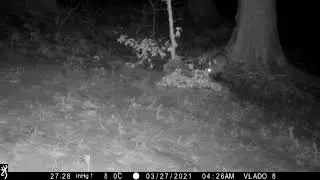 IMG 0042 reudiger Fuchs