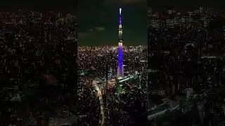 Tokyo, Japan | Gridlines Stretching Across the City