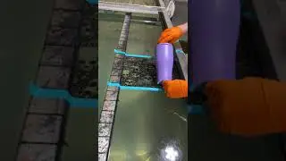 Hydrodipping a tumbler