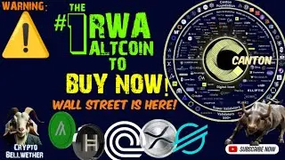 XLM, HBAR, XRP, XDC РАЗДАЛИ 6 триллионов RWA с Уолл-стрит. Canton Layer1 создан для доминирования...