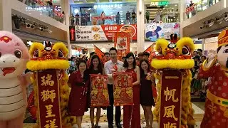 新加坡文揚龍獅运动协會 Wenyang War drum, Dragon, Lion High pole and Caiqing performance at Velocity