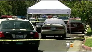 LAPD Investigating Whether 3 Murders In Valley Were Result Of Spree Killers