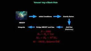 Formation of SMBH seeds in nuclear star clusters via gas accretion and runaway collisions -Arpan Das