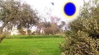 Wedding green screen effect background green screen | Shaadi frame.vfx