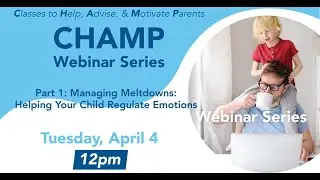 Managing Meltdowns - Helping Your Child Regulate Emotions
