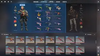ИНСТРУКЦИЯ ПО ЗАПУСКУ СКИНЧЕНДЖЕРА ДЛЯ CS2 [TOUCH SKINS]