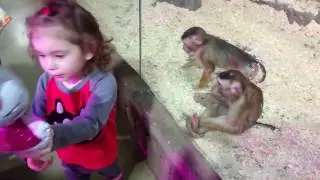 ПОХОД В ТРЦ 
