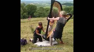 Духовая арфа #шорты