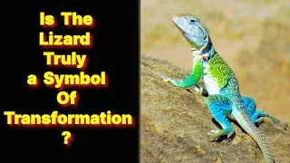 Is the Lizard Truly a Symbol of Transformation? Uncover the Hidden Truths