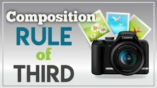 Composition : Rule of thirds | #21 | Preetam Paramanick