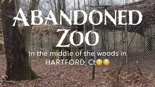 We Found an Abandoned Zoo Hidden in The Woods of Hartford CT | WHAT WENT ON HERE?