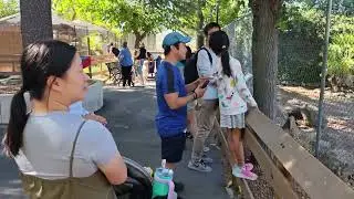 【VLOG】Central Coast Zoo with Brian & Jing family