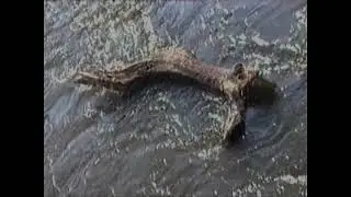 A PATAK ELROHAN MELLETTŰNK