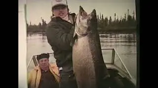Doc Thoke RX formula salmon tractor#fish #happy