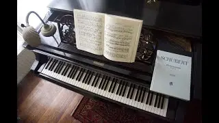 The Music Room Trailer