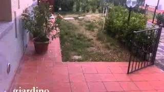 MF99