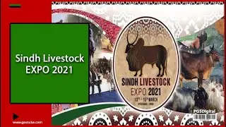Sindh Livestock EXPO 2021