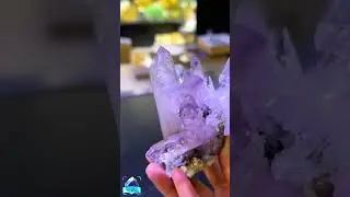 #stone #stones #stoneid #freestone #stoneapp #rockid #rockapp #rockfinder #CrystalGuide
