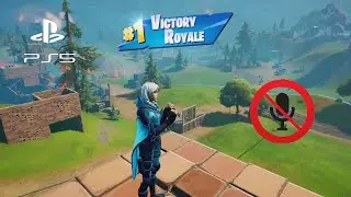 TORIN (BLUE RUNE) SKIN GAMEPLAY - Solo Victory Royale / Fortnite Season 8 (No Commentary PS5)