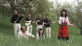 Olgica   Vino nana tu la munce