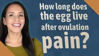 How long does the egg live after ovulation pain?