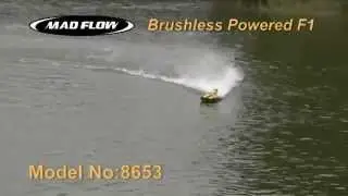 Ripmax - Joysway Mad Flow F1 Brushless ARTR 590mm (B-JS-8653)