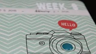 Project Life Process: Week 8 (February)