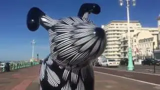 Kai and Sunny | Snow Dog - Brighton Sea Front - 2016